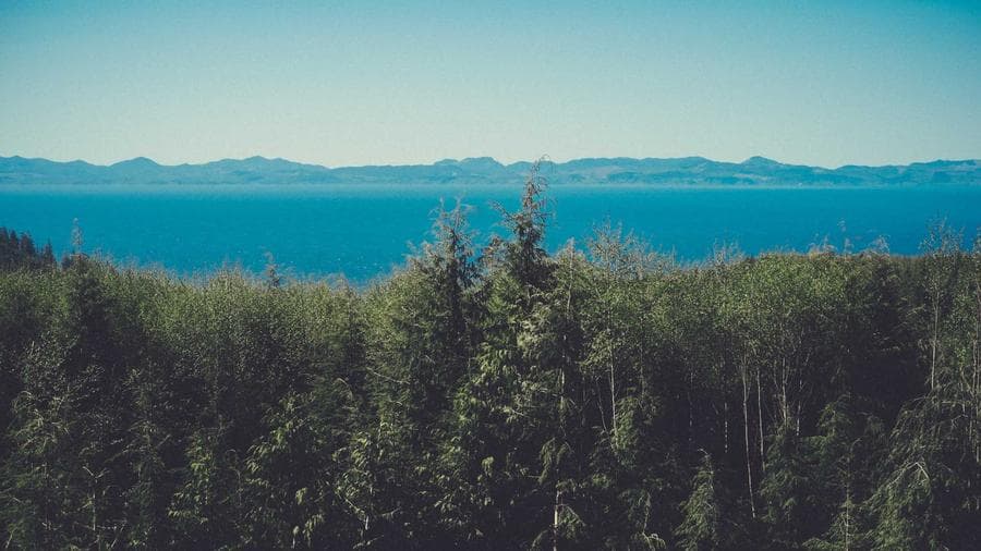 Local Band The Hollow Birches Signs with Regional Label, Plans Summer Tour