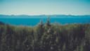 Local Band The Hollow Birches Signs with Regional Label, Plans Summer Tour