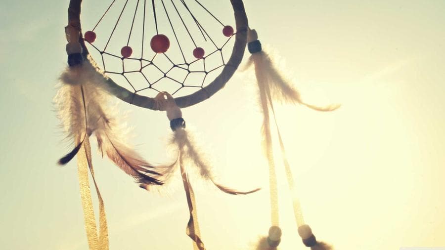 Your Week Ahead: Millbrook Community Events, June 6–12