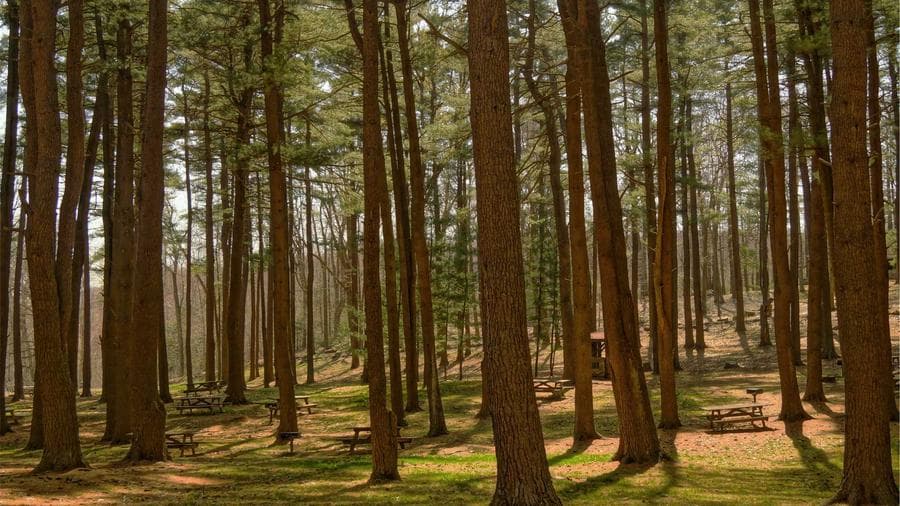 What's Happening in Millbrook: Your June Community Calendar